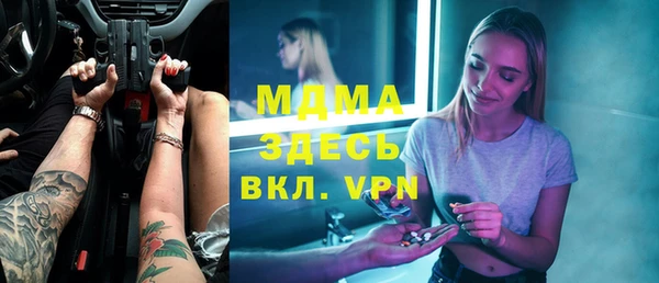 дмт Богданович