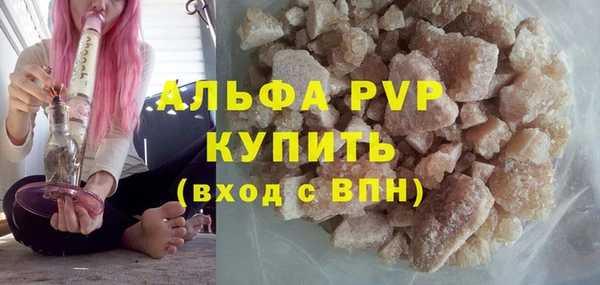 дмт Богданович