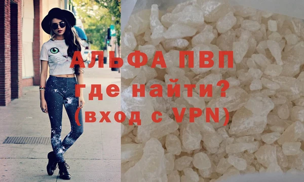 дмт Богданович