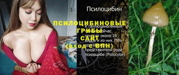 первитин Богородицк