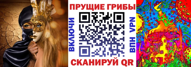 Галлюциногенные грибы Psilocybe  Купить где  Подольск 